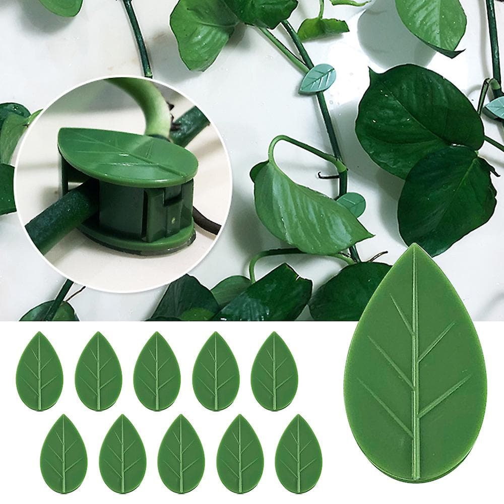 Plants Clips ‎10pcs ‎- ‏علاقات ‏الاعشاب ‏(١٠ ‏حبات)