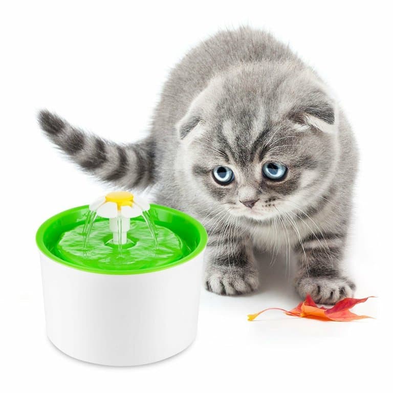 Pet Fountain ‎- نافورة ‏ماء ‏للحيوانات image 3