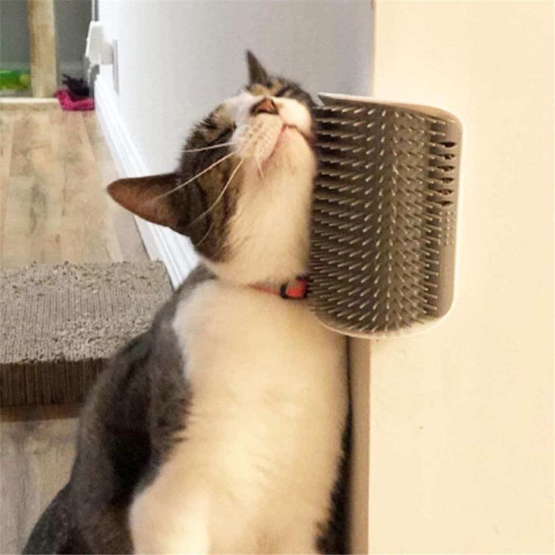 Cat Self Groomer Wall Brush ‎- لصقات ‏زوايا ‏للحيوانات