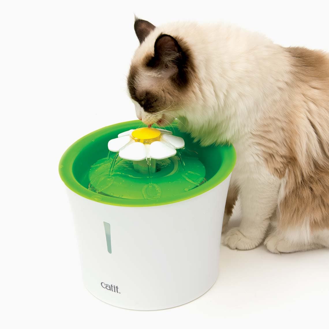 Pet Fountain ‎- نافورة ‏ماء ‏للحيوانات