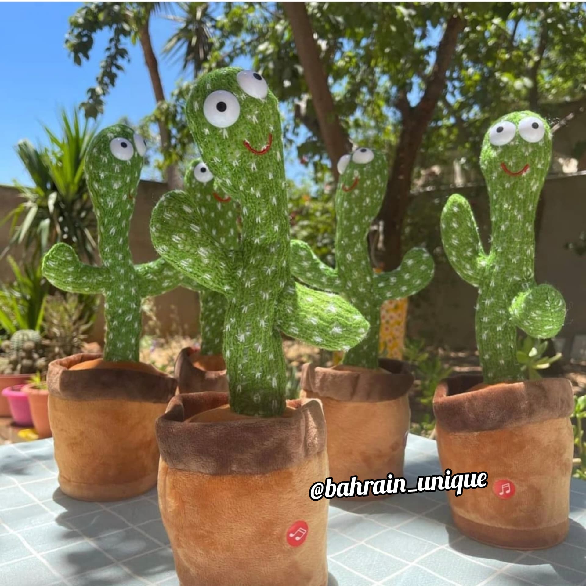 Dancing Cactus ‎- لعبة ‏الصبار image 2