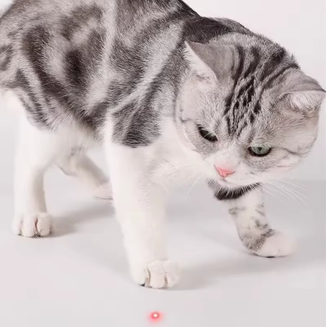 Smart Cat Toy ‎- لعبة ‏القطط ‏المسلية image 2