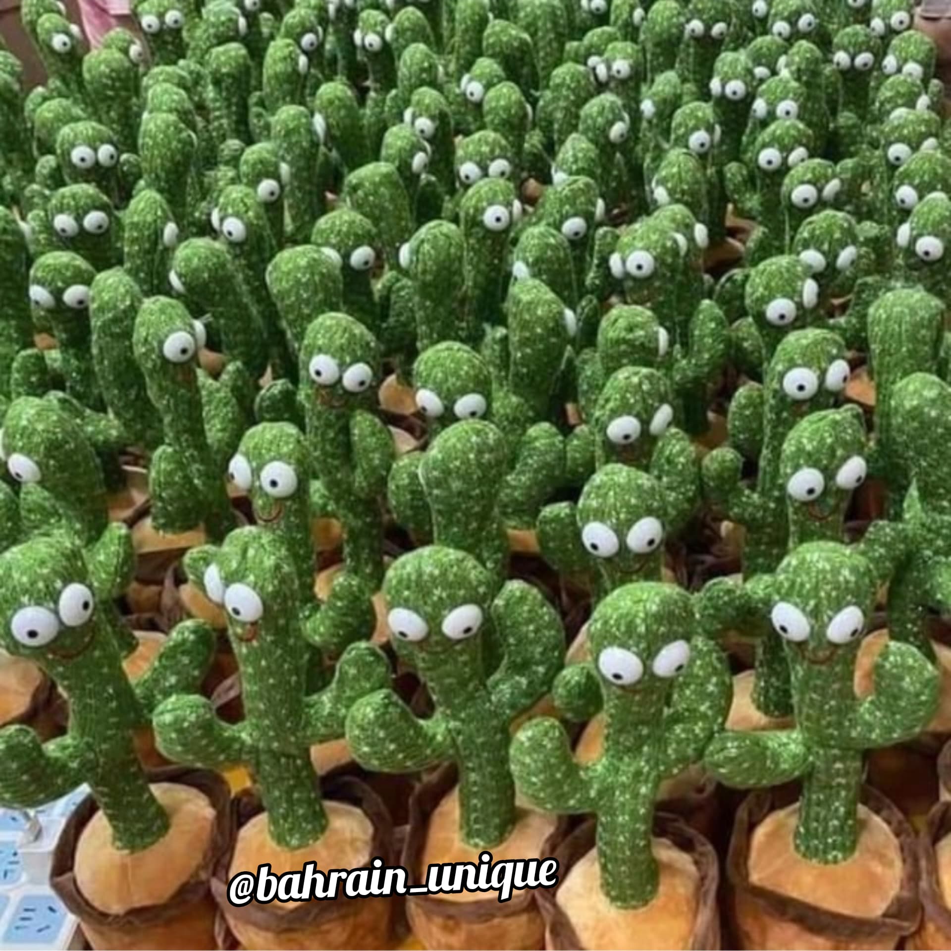 Dancing Cactus ‎- لعبة ‏الصبار image 3